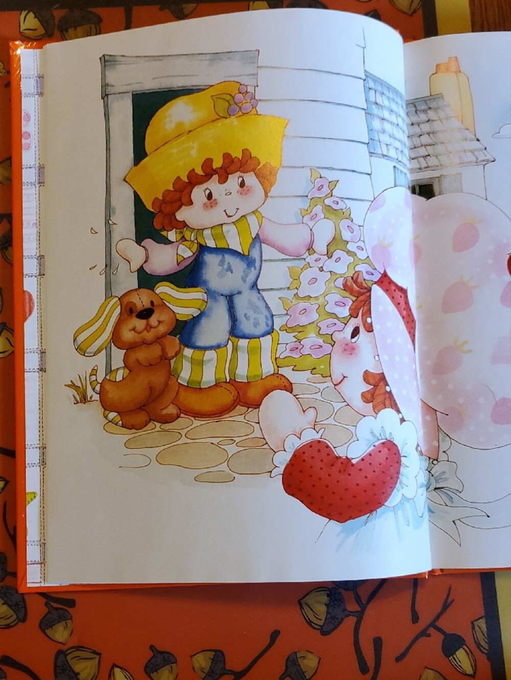 Strawberry Shortcake and the Deep Dark Woods - Orange Kids Story Book - Picture 8 of 8